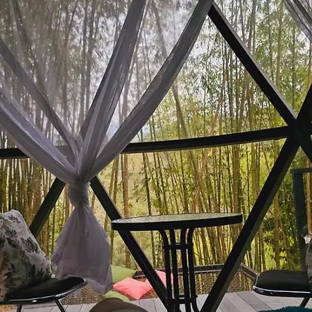 Glamping Y Cabanas Alpina Buga Exterior photo