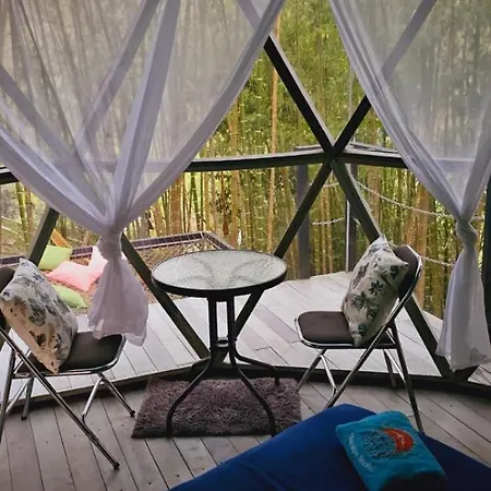 Glamping Y Cabanas Alpina Buga Exterior photo