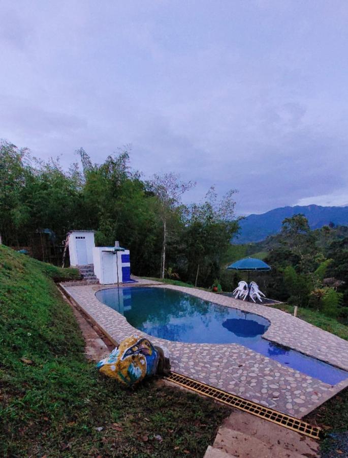 Campsite Glamping Y Alpina *