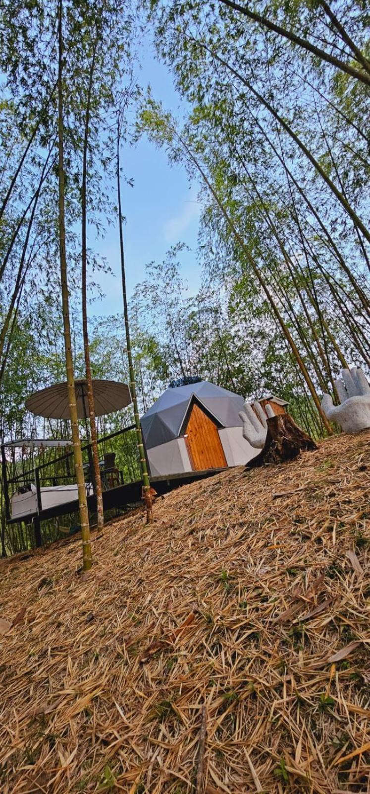 Glamping Y Alpina Campsite Buga