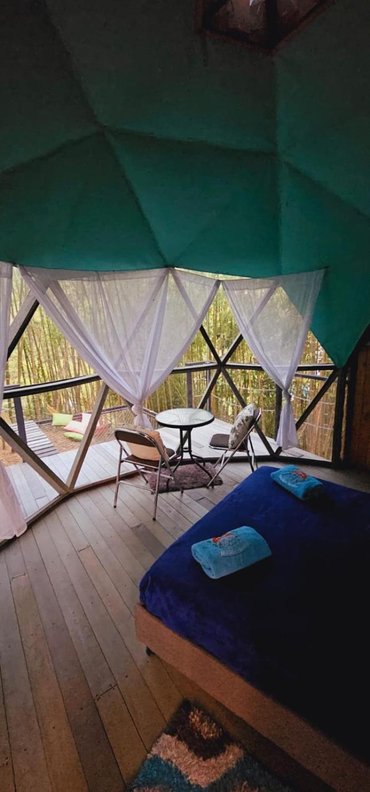 Glamping Y Alpina *